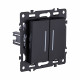 Выключатель 2-клавишный 10А/250В с LED подсветкой, черный Kollinger Asthetik AS-010BK