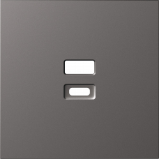 Накладка для розеток USB, матовый титан, серия S08
