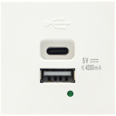 USB зарядное устройство, 4.2A , Type A + C, 2 мод., бел. (45х45мм)